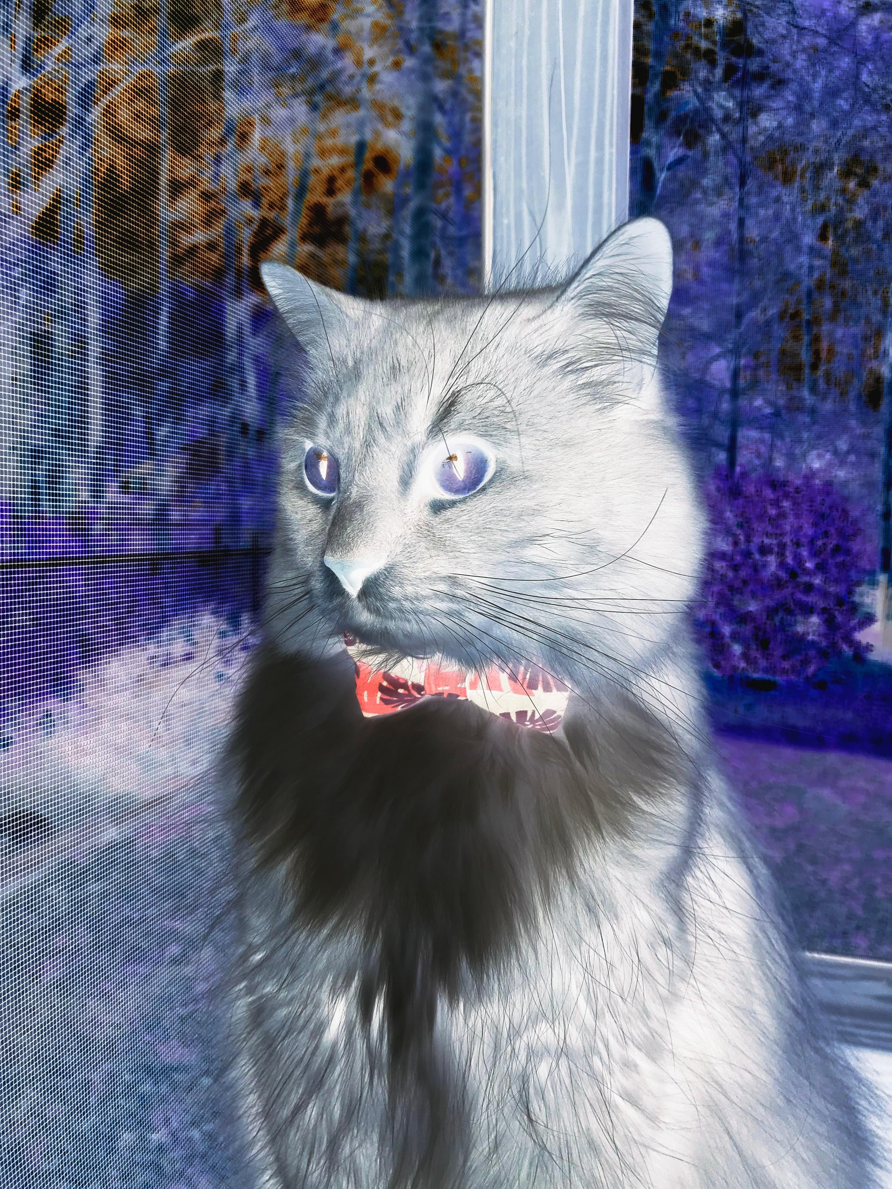 《电竞热潮引发城市经济新增长点》，2020电竞市场的发展状况