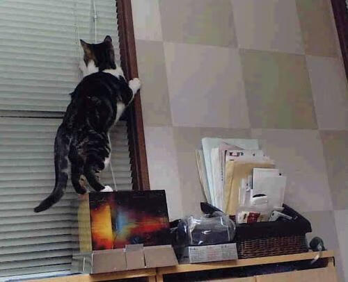 国际足球交流合作持续深化,推动中国足球融入全球足球生态,国际足球改革