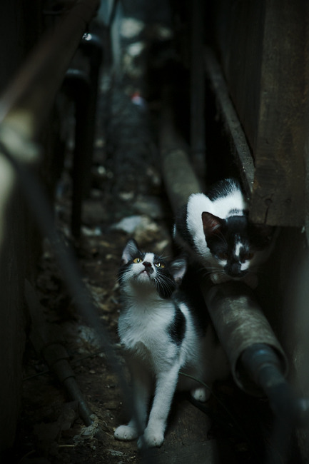 爱游戏 电竞-CS2 新赛季赛程安排合理，cs2游戏