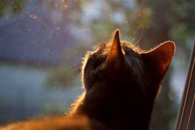 爱游戏官方网站入口登录-CS2 赛区对抗激烈升级，cs2 赛区对抗激烈升级有影响吗